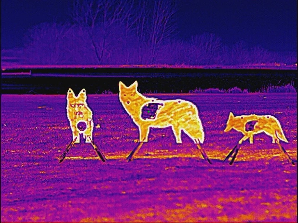 Front Facing Coyote Reactive Target - Full Size