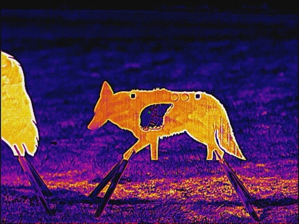 AR500 Coyote Target W/ REACTIVE Vital - Small