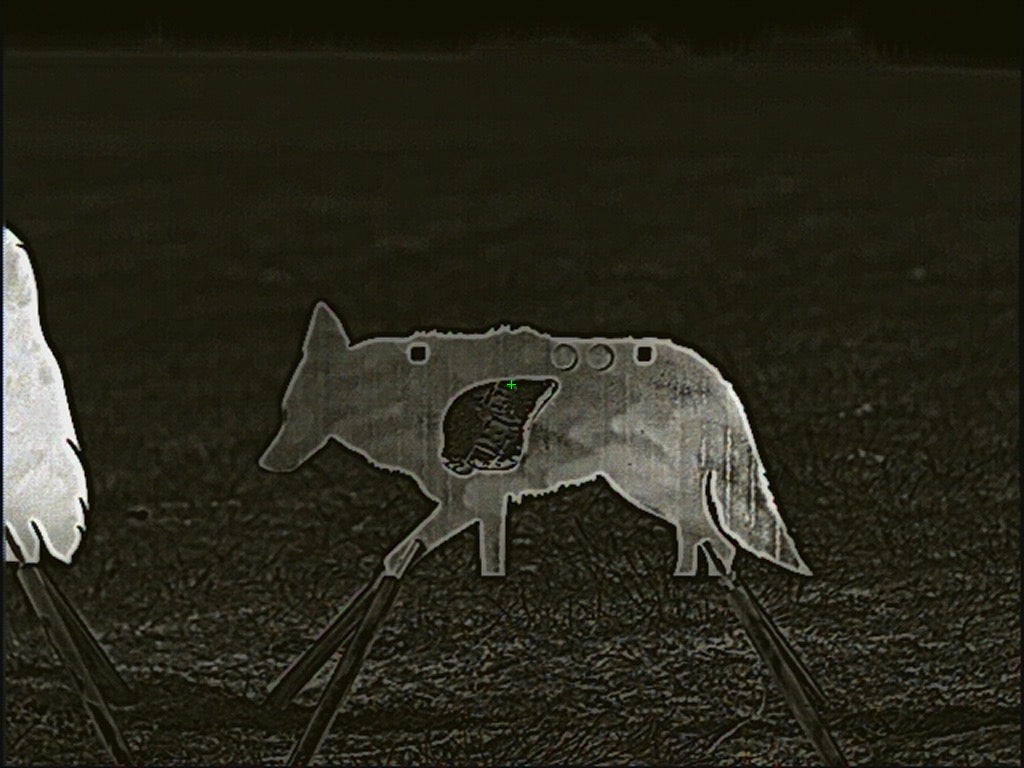 AR500 Coyote Target W/ REACTIVE Vital - Small