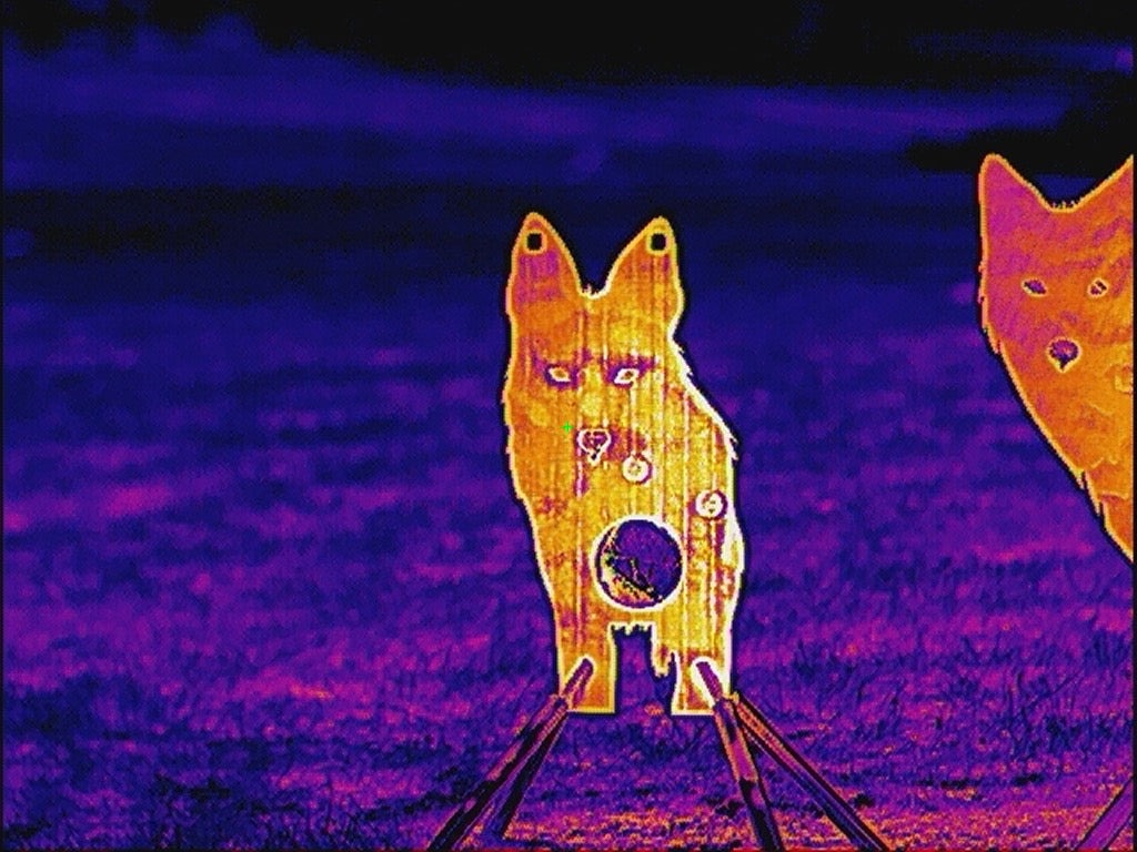 Front Facing Coyote Reactive Target - Full Size