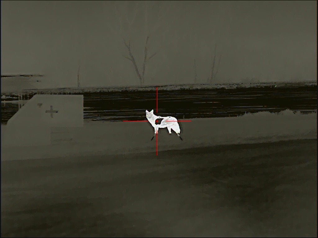 Life Size SR500 Coyote Steel Target with Reactive Vital & Legs - Side Profile