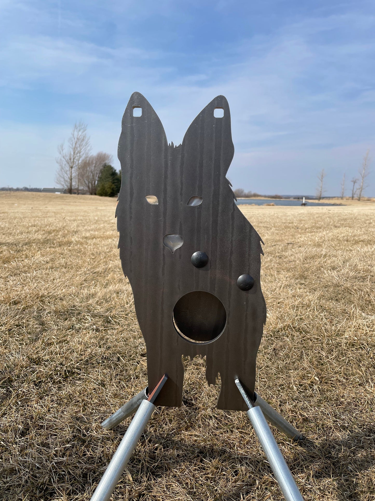 Front Facing Coyote Reactive Target - Full Size