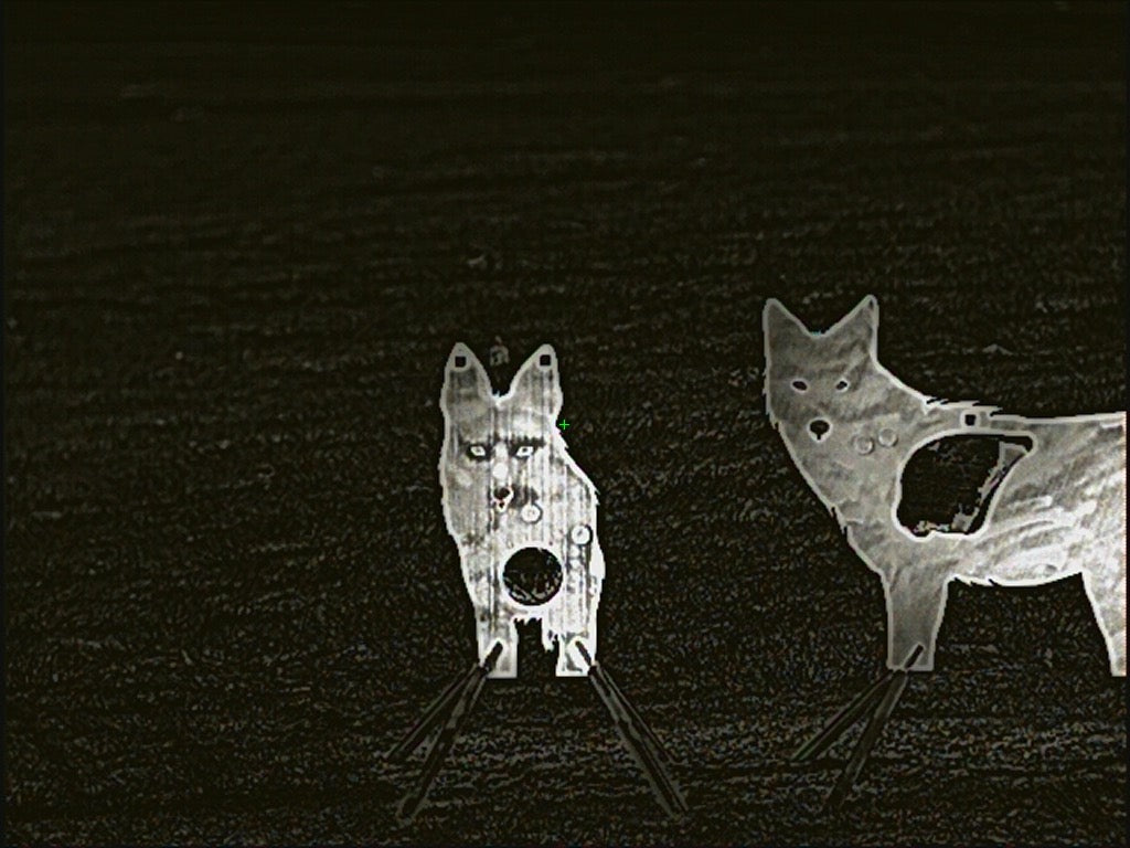 Front Facing Coyote Reactive Target - Full Size